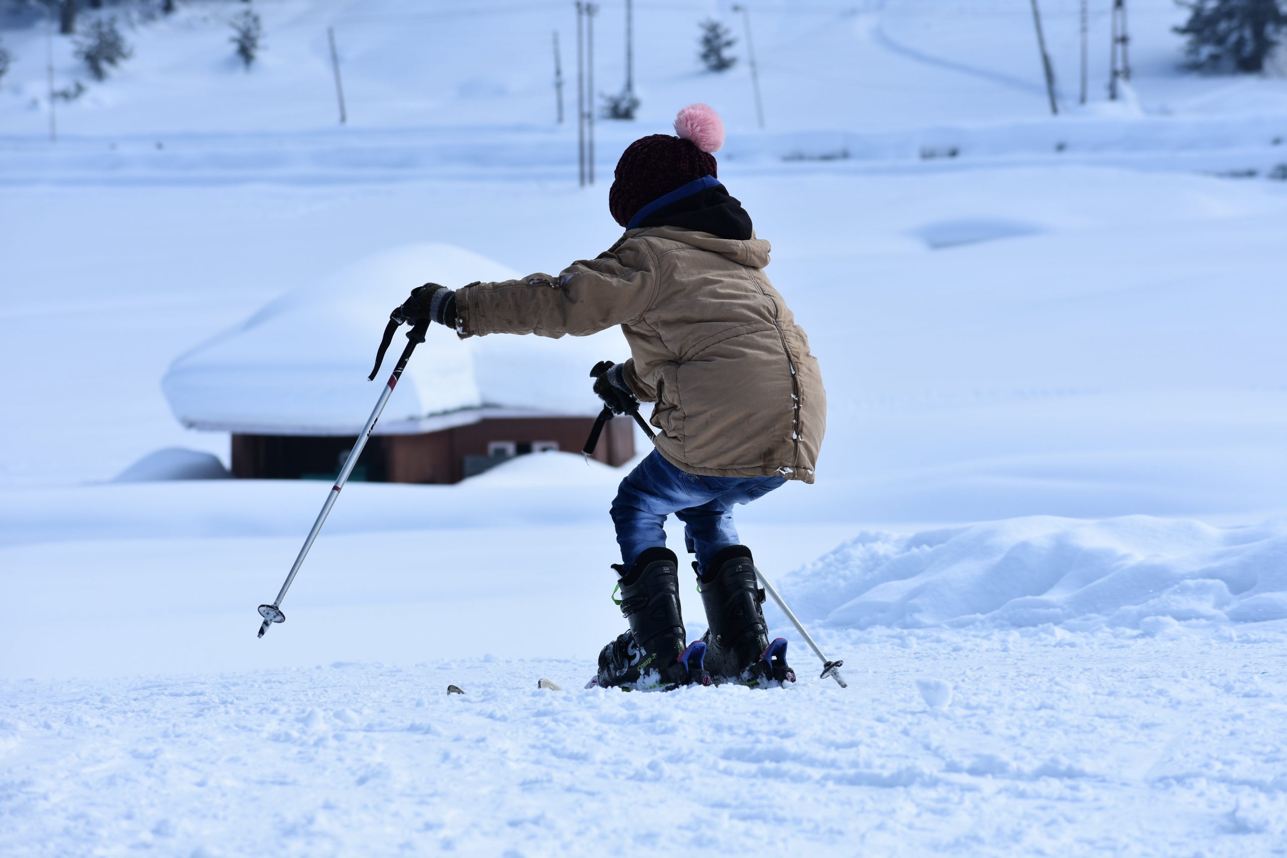 Picture of Beginner Learning to Ski